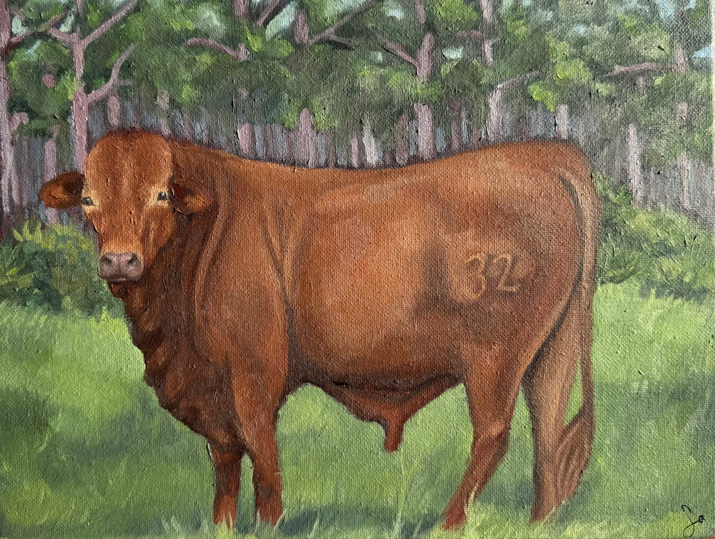 “Mini Bull” 9x12
