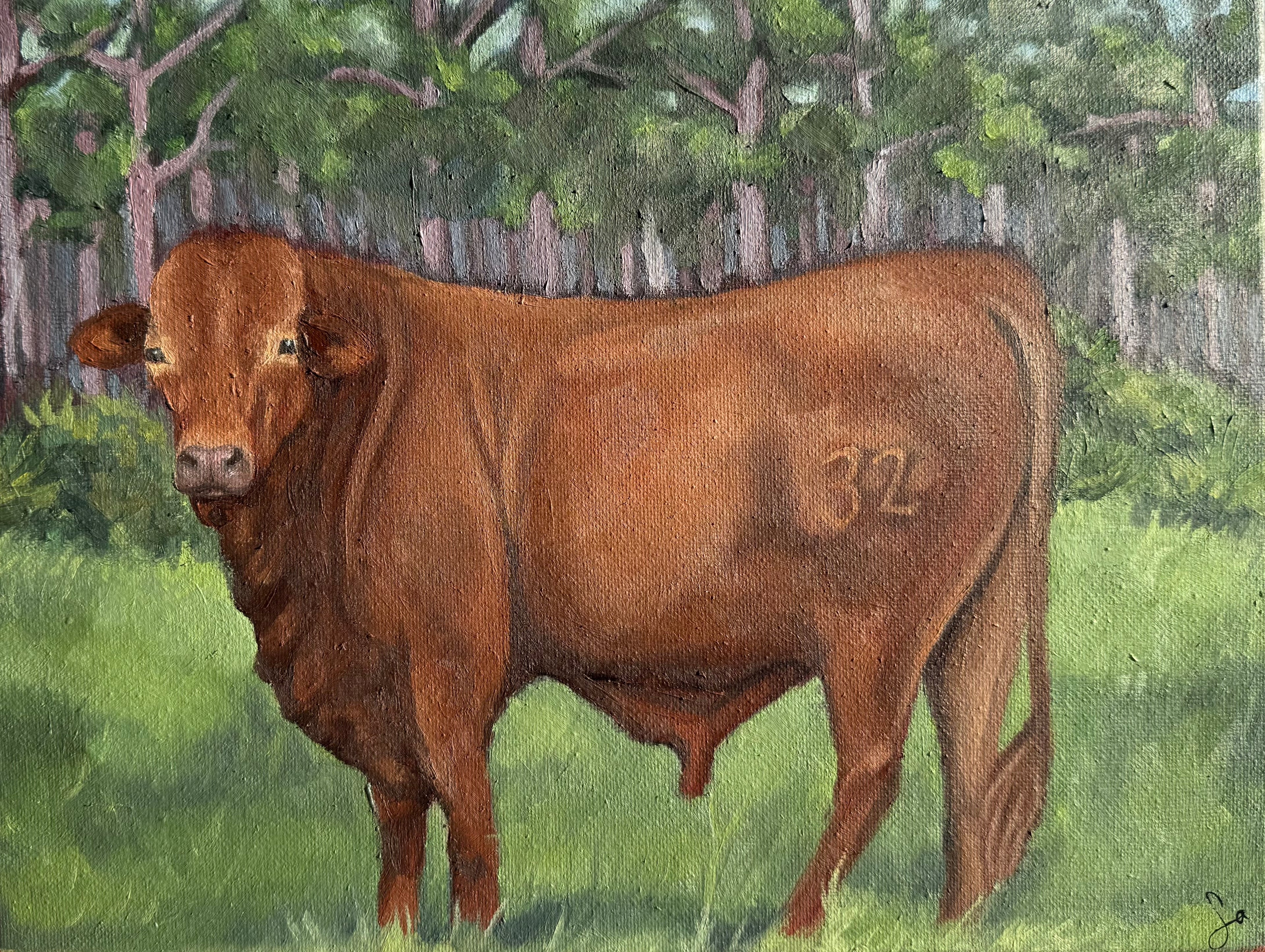“Mini Bull” 9x12