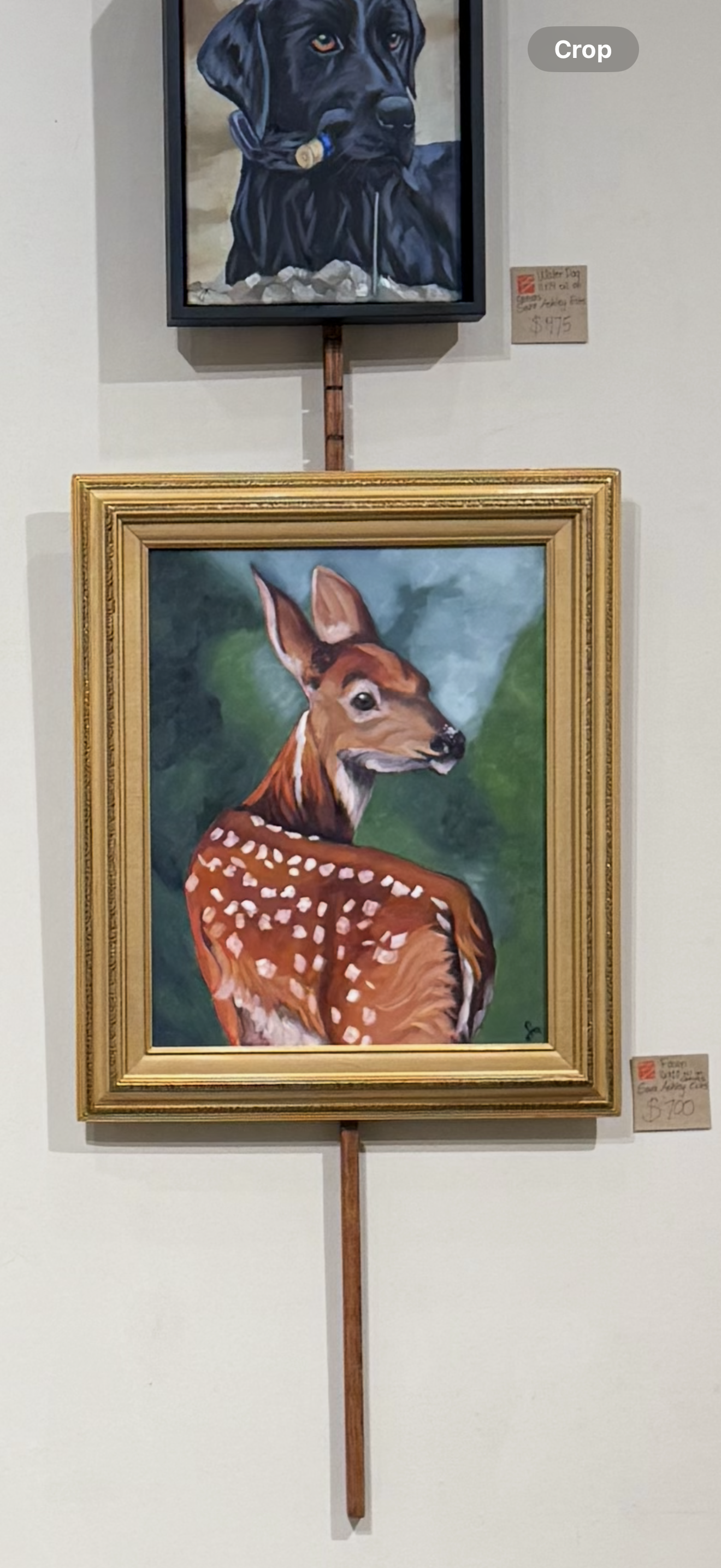 "Fawn" 16x20